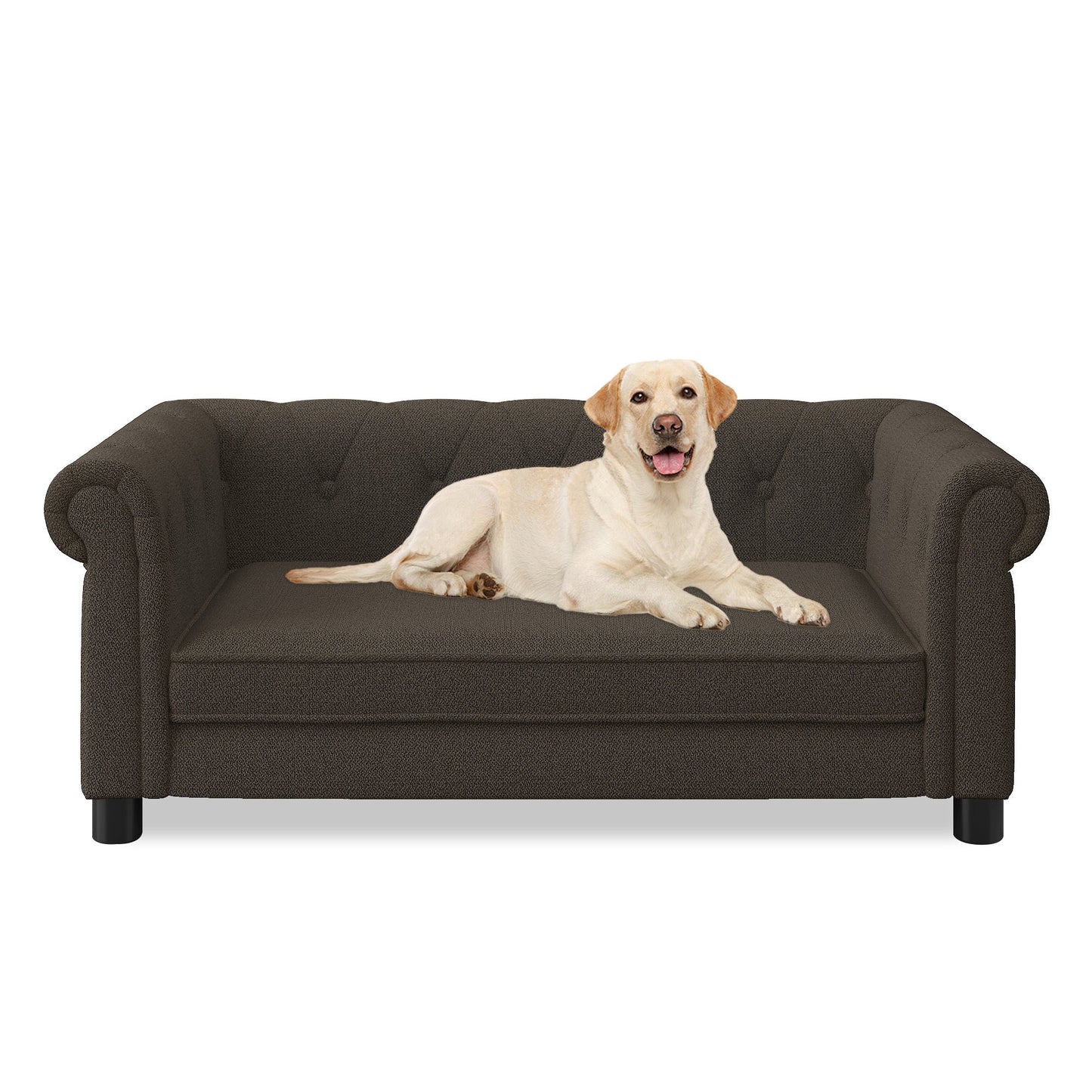 Elegant Rectangular Pet Bed for Small and Medium Dogs, Durable
